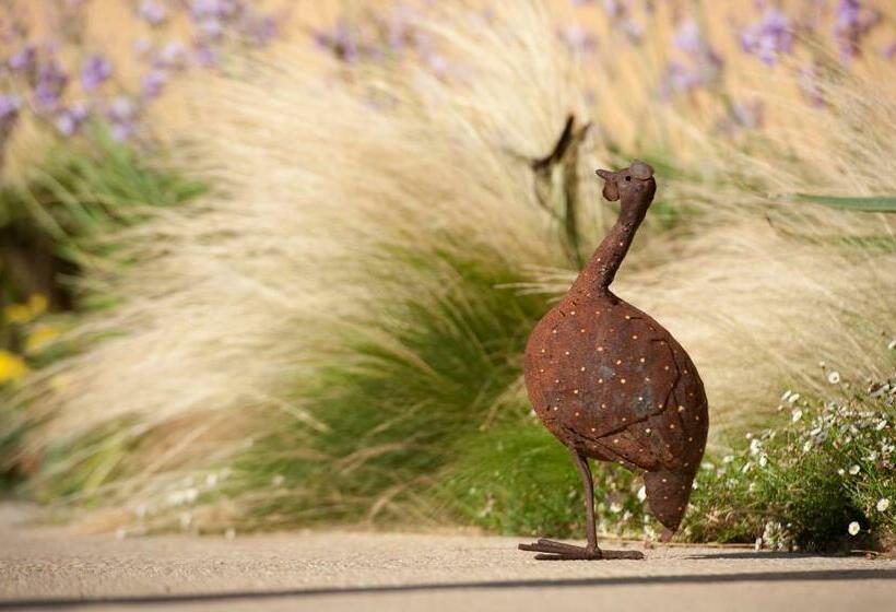 Hotel Aquae Sinis Albergo Diffuso