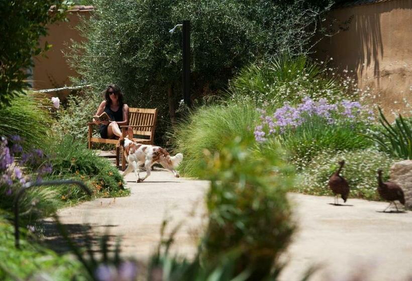 Hotel Aquae Sinis Albergo Diffuso