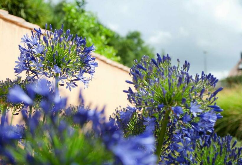 Hotel Aquae Sinis Albergo Diffuso