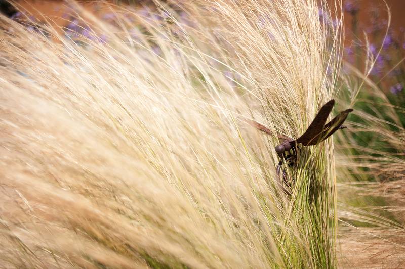 Hotel Aquae Sinis Albergo Diffuso