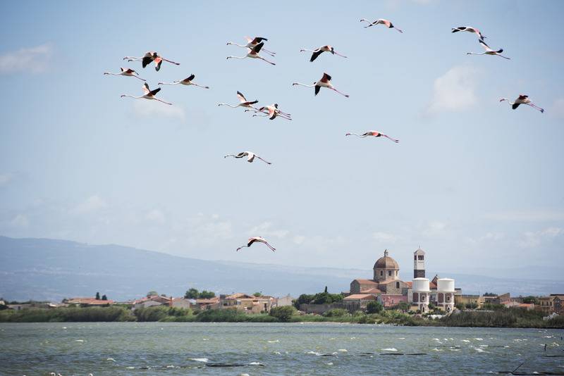 Hotel Aquae Sinis Albergo Diffuso