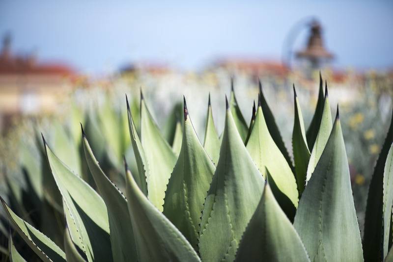 Hotel Aquae Sinis Albergo Diffuso