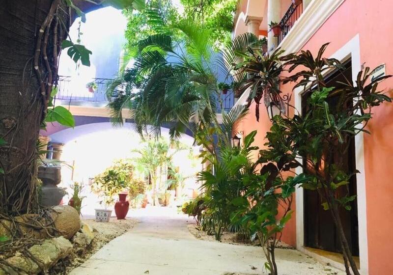 ホテル Casa De Las Flores