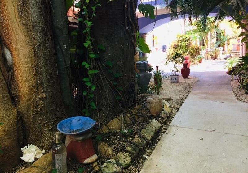 ホテル Casa De Las Flores