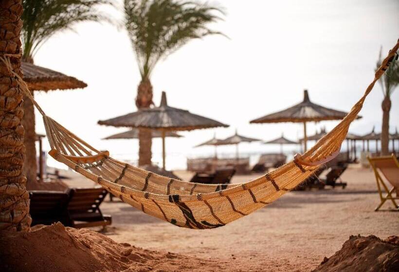 ホテル Coral Sea Holiday Resort And Aqua Park