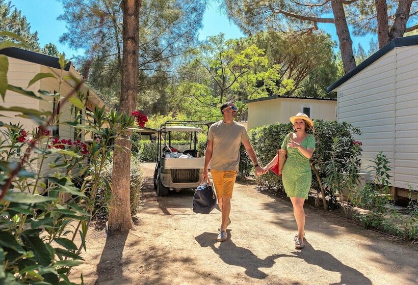 호텔 Camping La Pinède Enchantée