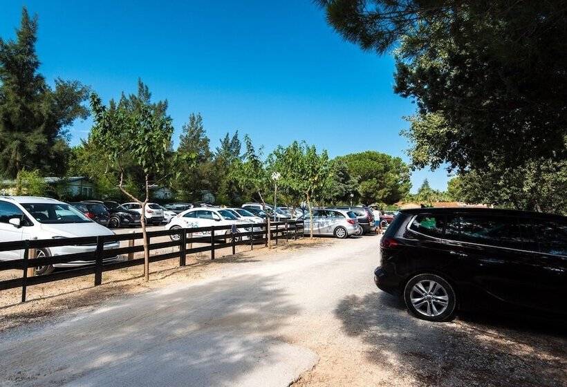 호텔 Camping La Pinède Enchantée