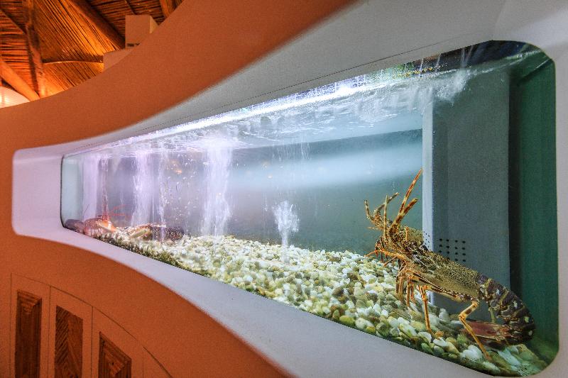 فندق Encosta Do Lago Resort Club