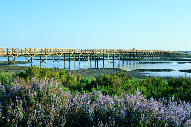 فندق Encosta Do Lago Resort Club