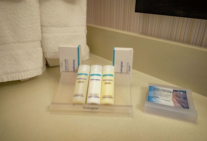 فندق Hilton Garden Inn Buffalo Downtown