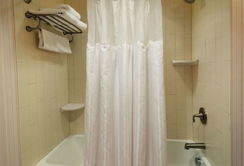فندق Hilton Garden Inn Buffalo Downtown