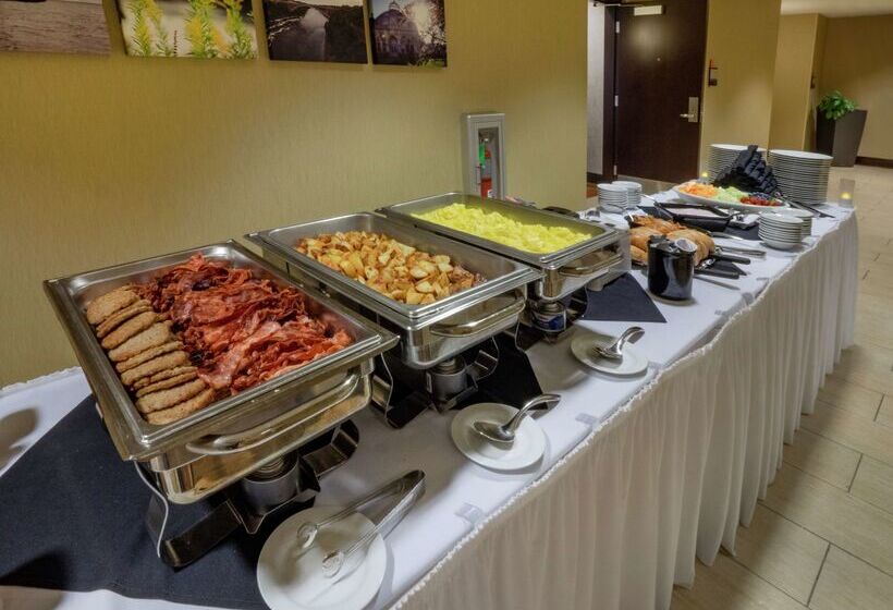 فندق Hilton Garden Inn Buffalo Downtown