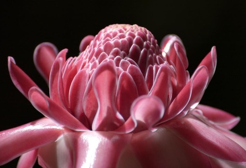 فندق Hôtel Kadiandoumagne