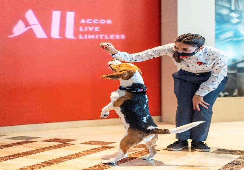 酒店 Ibis New Delhi Aerocity An Accor Brand