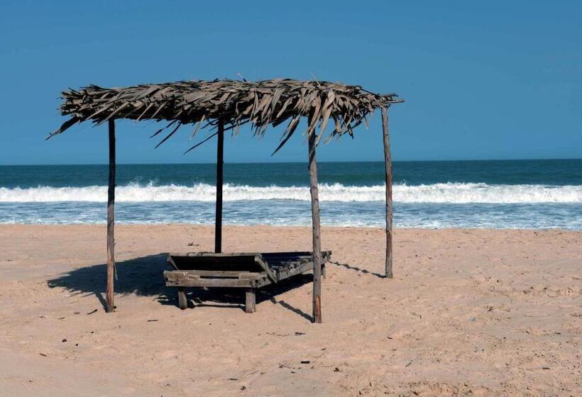 Leo S Beach Hotel   Adults Only