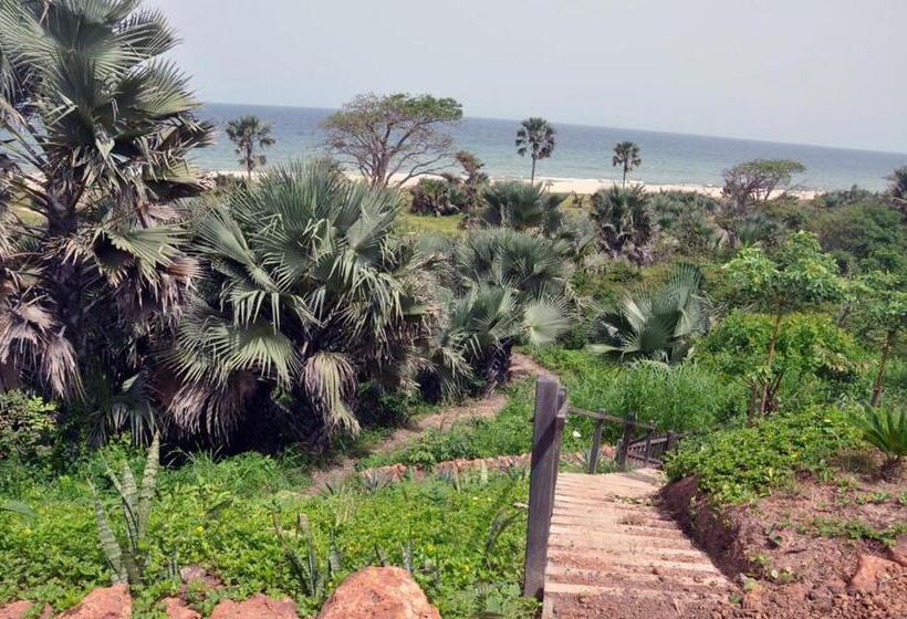 Leo S Beach Hotel   Adults Only