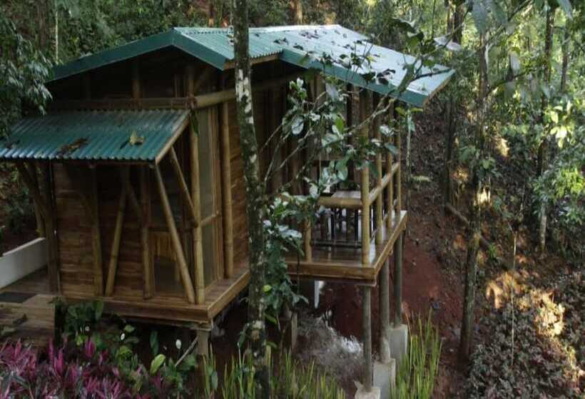 ホテル Macaw Lodge