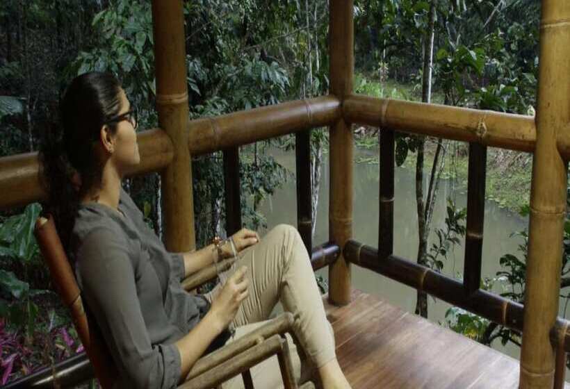 ホテル Macaw Lodge