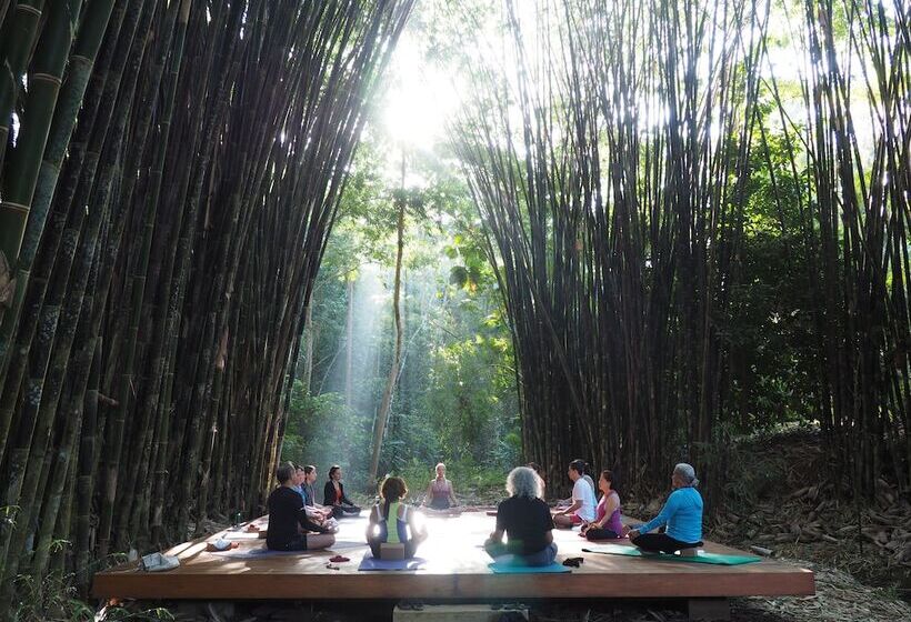 ホテル Macaw Lodge