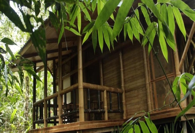 ホテル Macaw Lodge