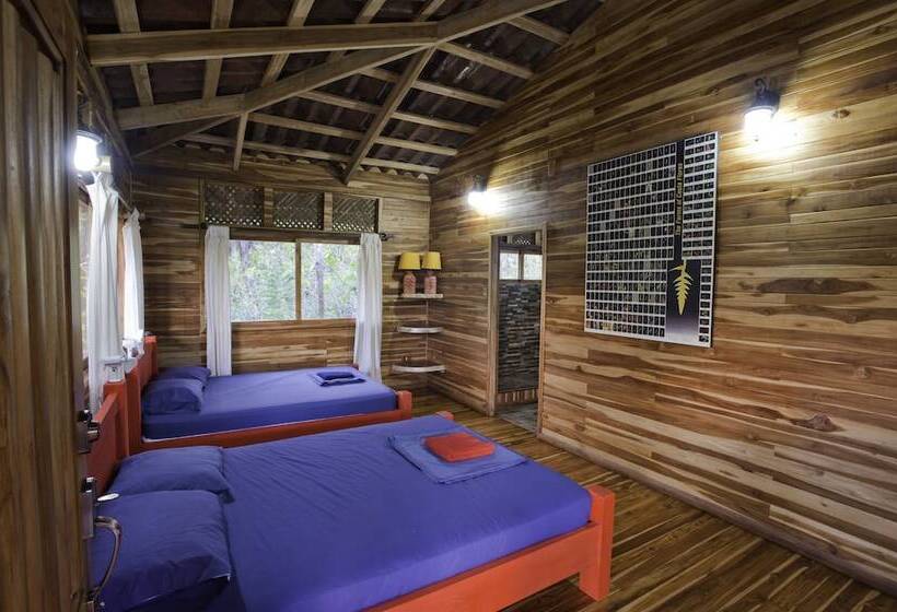 ホテル Macaw Lodge