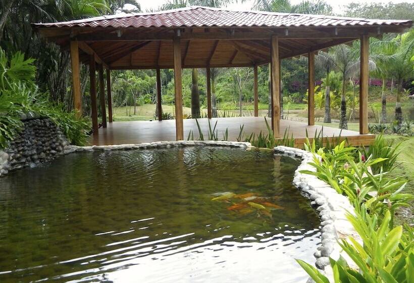 ホテル Macaw Lodge