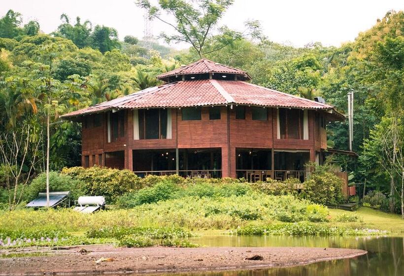 ホテル Macaw Lodge