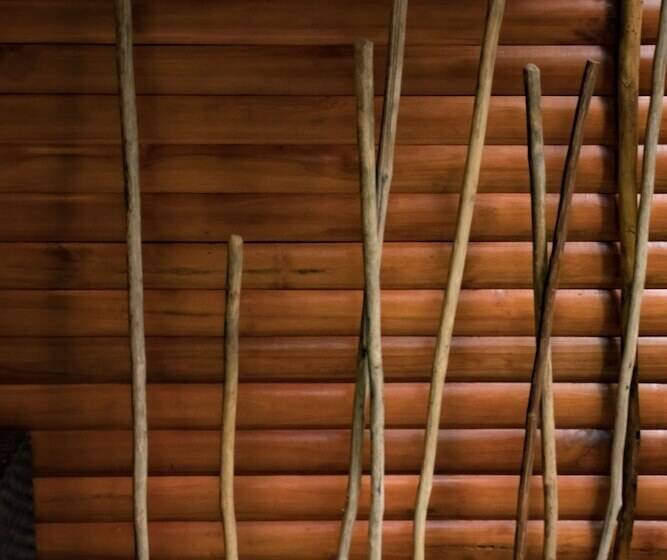 ホテル Macaw Lodge