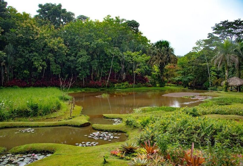 ホテル Macaw Lodge