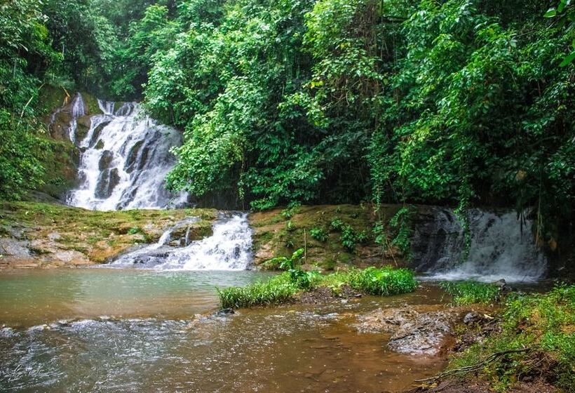 ホテル Macaw Lodge