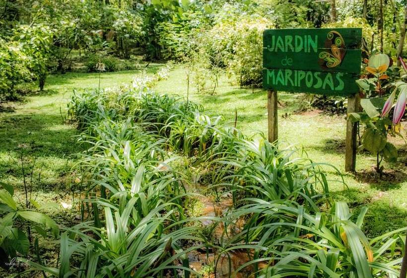 ホテル Macaw Lodge