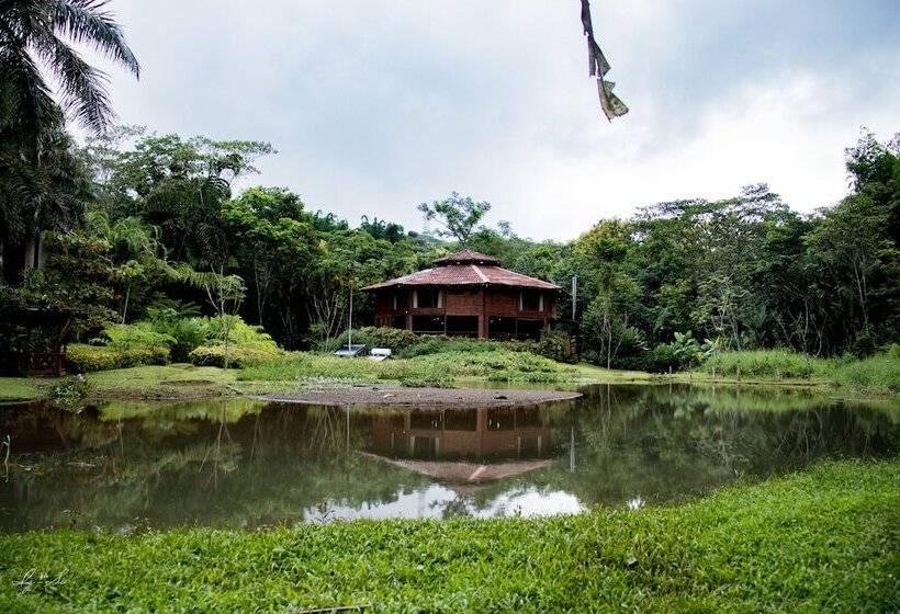 ホテル Macaw Lodge