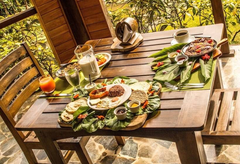 ホテル Macaw Lodge