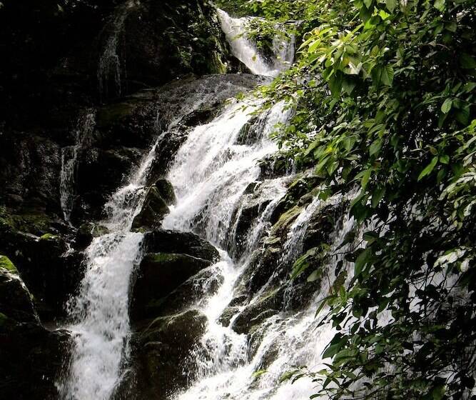 ホテル Macaw Lodge