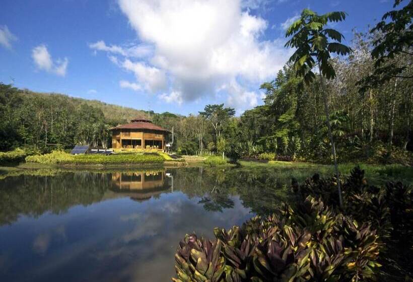 ホテル Macaw Lodge