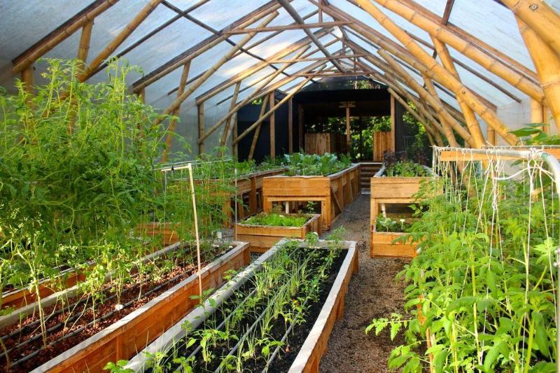 ホテル Macaw Lodge