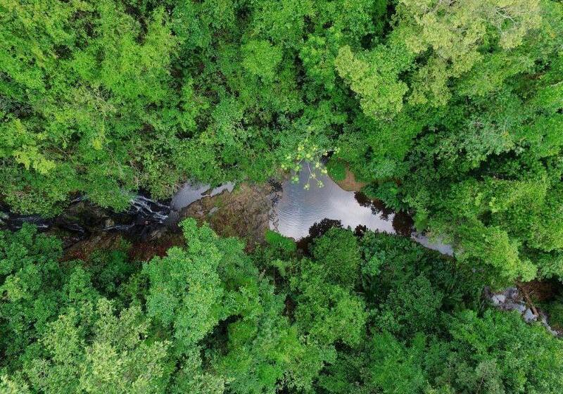 ホテル Macaw Lodge
