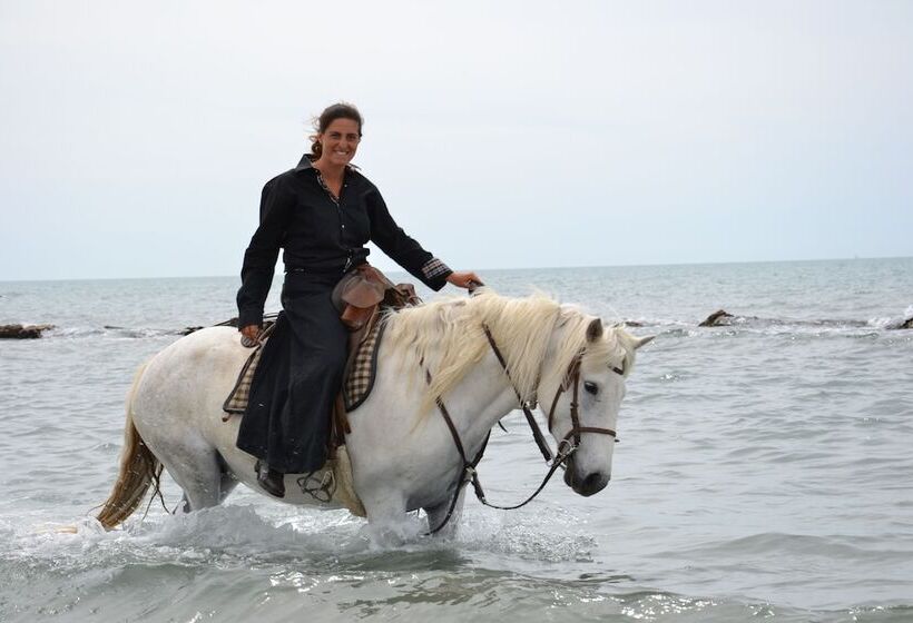 בית מלון כפרי Mas De Sylvéréal