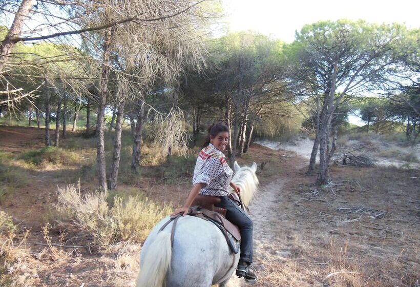 בית מלון כפרי Mas De Sylvéréal