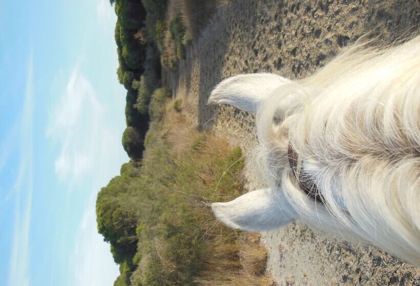 בית מלון כפרי Mas De Sylvéréal