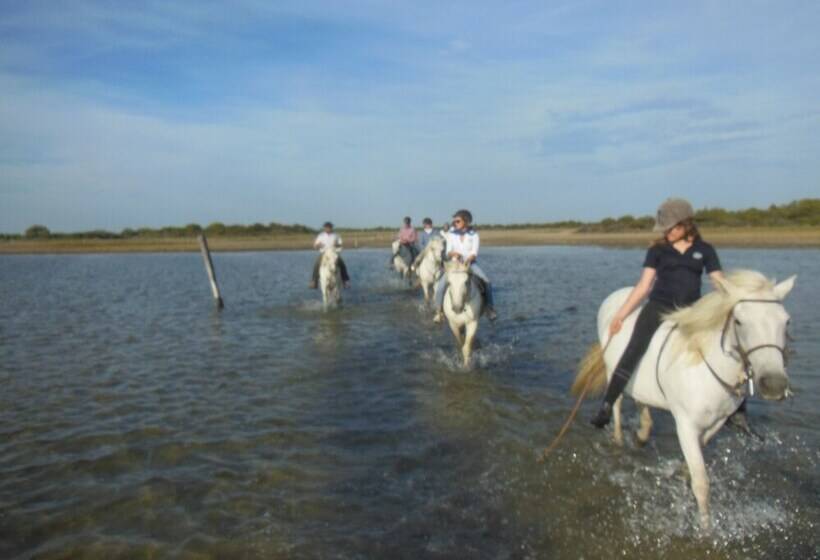 בית מלון כפרי Mas De Sylvéréal