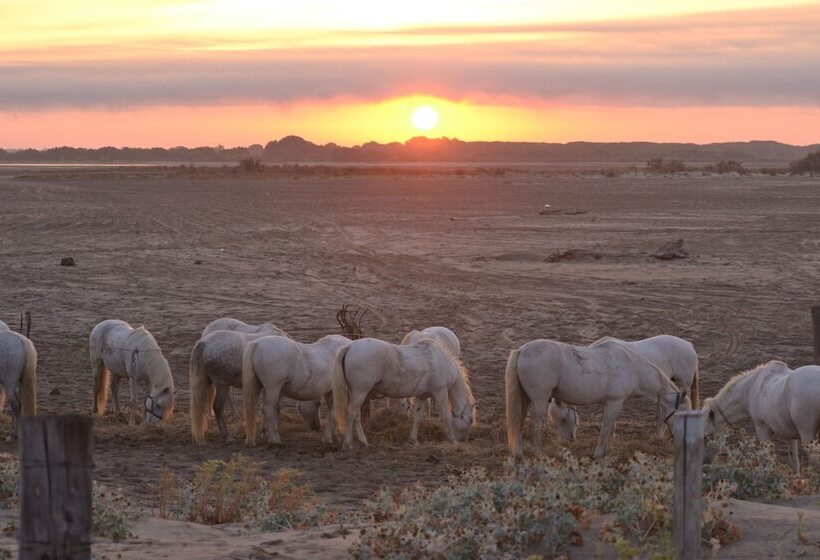 בית מלון כפרי Mas De Sylvéréal