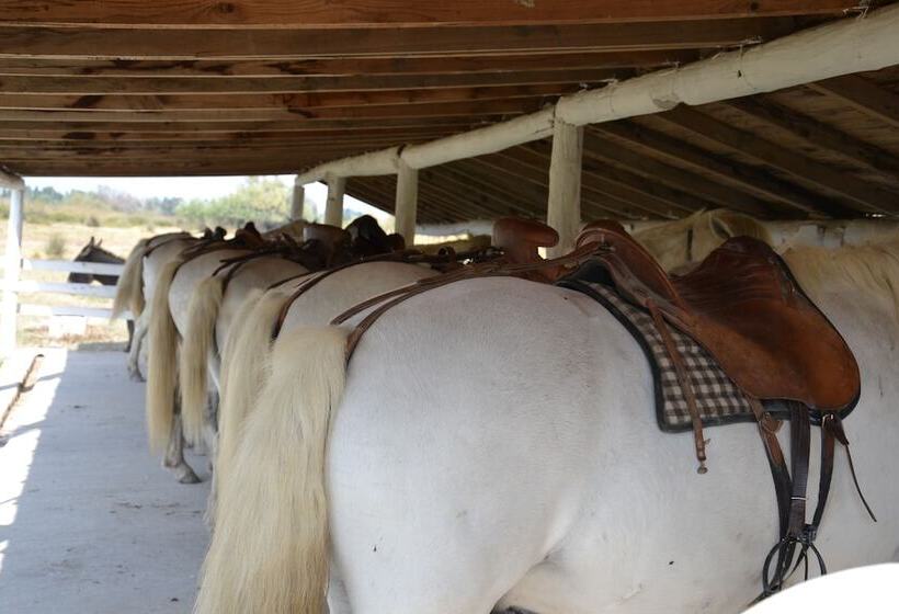 בית מלון כפרי Mas De Sylvéréal