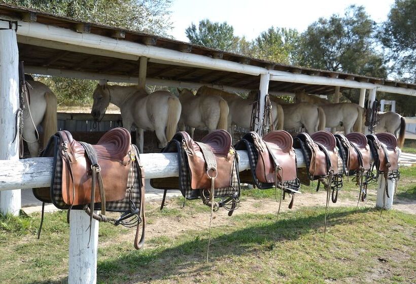 בית מלון כפרי Mas De Sylvéréal