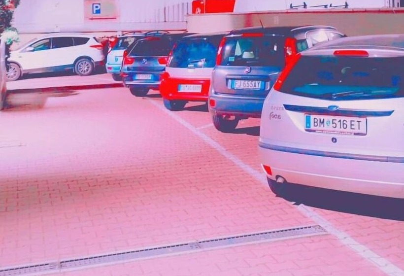 Отель Nuova Aurora Venice