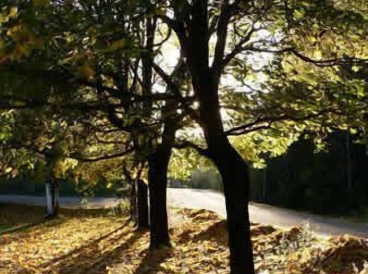 호텔 Perolofgården