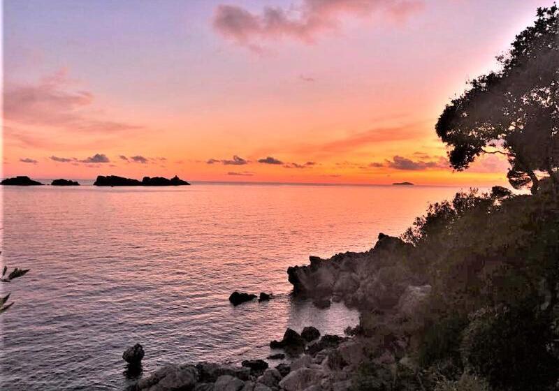 בית מלון כפרי Royal Palm