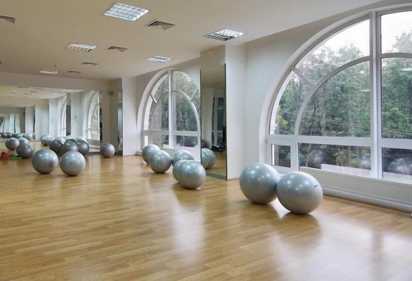 酒店 Royal Sun Geneva