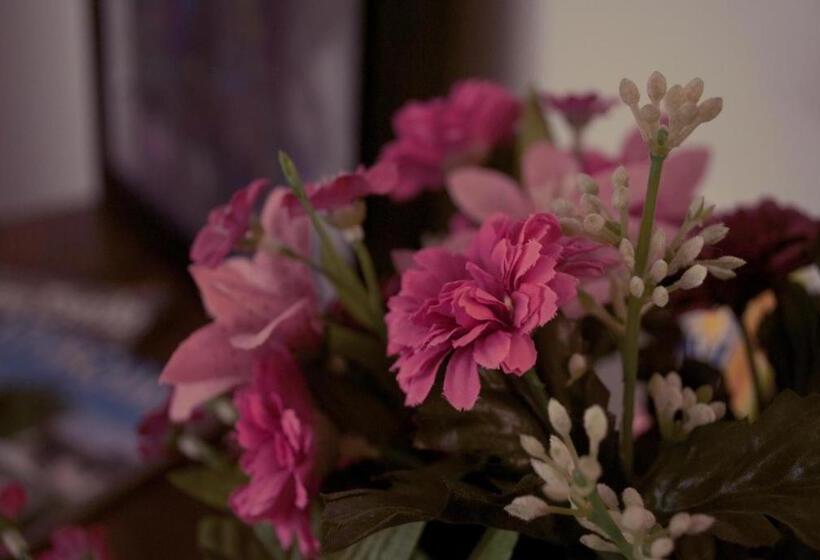 هتل روستایی El Lacayo De Sestiello