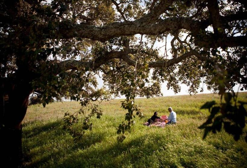 هتل روستایی Herdade Do Amarelo Nature & Spa
